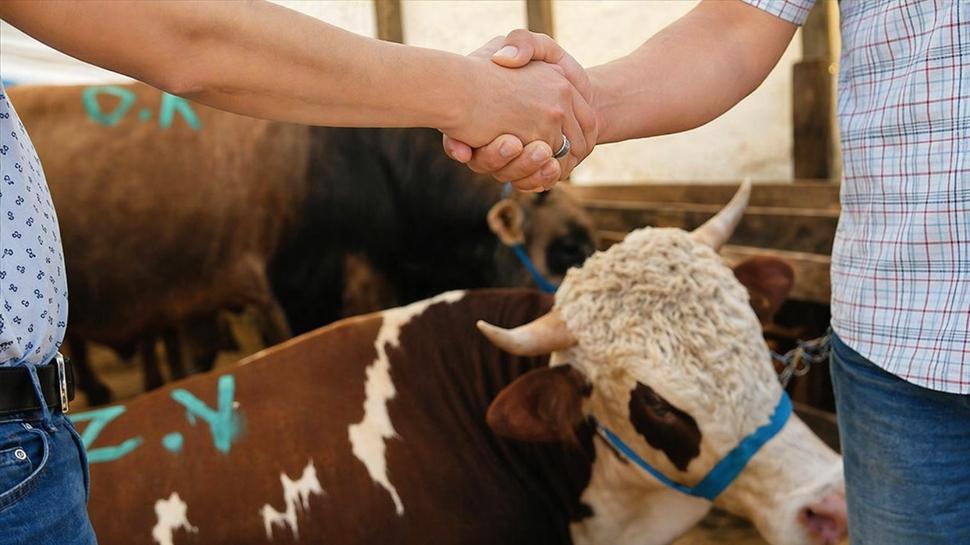 Kurbanl�k al�rken bu 3 detay� atlayan yan�yor! Uzmanlar a��k a��k uyard�