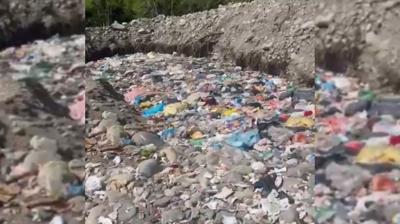 CHP'li belediyeden �evre katliam�... Bakanl�k harekete ge�ti