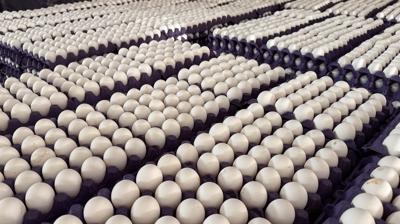 'May�s �ukuru'na devlet bariyeri! �hracat kotas� art�r�ld�, sekt�r nefes ald�