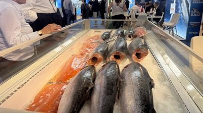 T�rk bal�k��lar� Barselona'da ��kartma yapt�! Hedef 2,5 milyar dolar ihracat