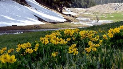 Bir tarafta bahar di�er tarafta k��! T�rkiye iki mevsimi bir arada ya�ayacak