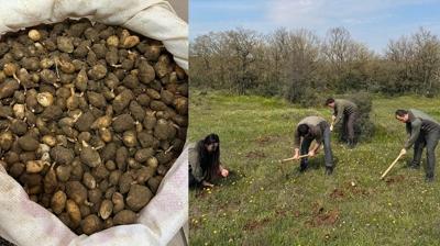 Nesli tehlike alt�ndaki bitkiyi toplad� rekor ceza yedi