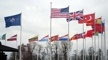 NATO'dan ABD senaryolar�na cevap: Herhangi bir h�k�m yok