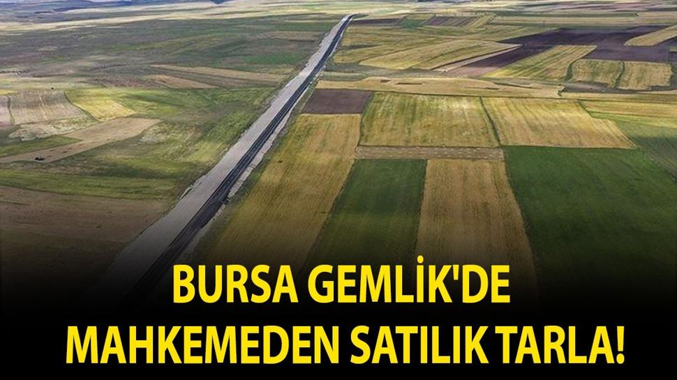 Bursa Gemlik'de mahkemeden satılık tarla!