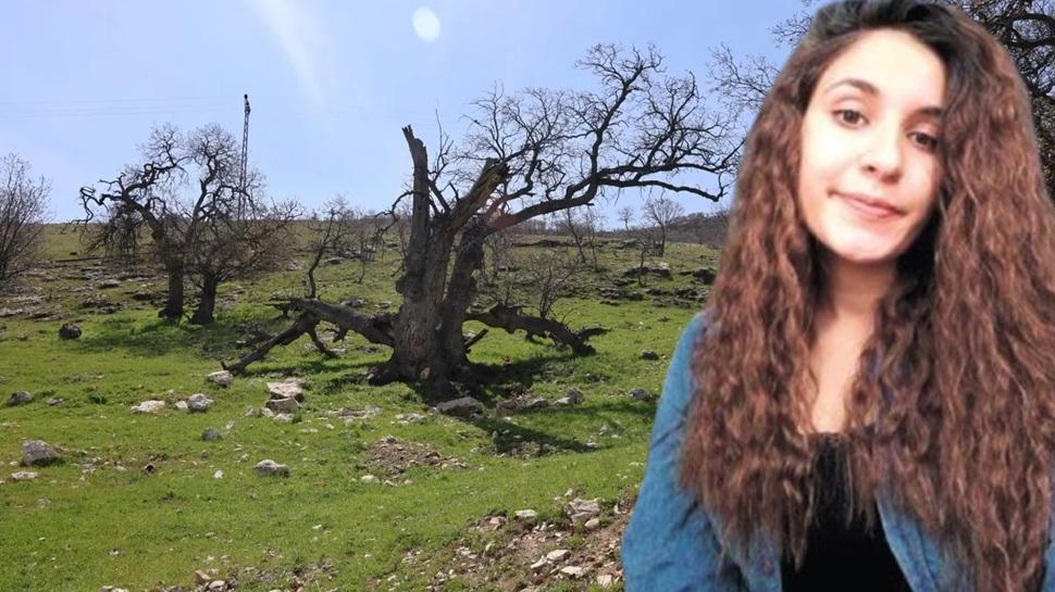 JASAT ve JAK ekipleri sahada! Gülistan Doku için aramalar o bölgede yoğunlaştı