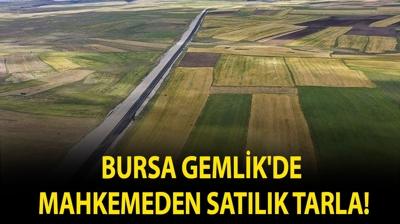 Bursa Gemlik'de mahkemeden sat�l�k tarla!