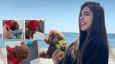 Cani kad�ndan k�pe�ine i�kence! Sosyal medya aya�a kalkt�