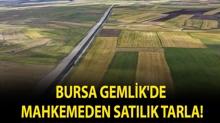 Bursa Gemlik'de mahkemeden sat�l�k tarla!