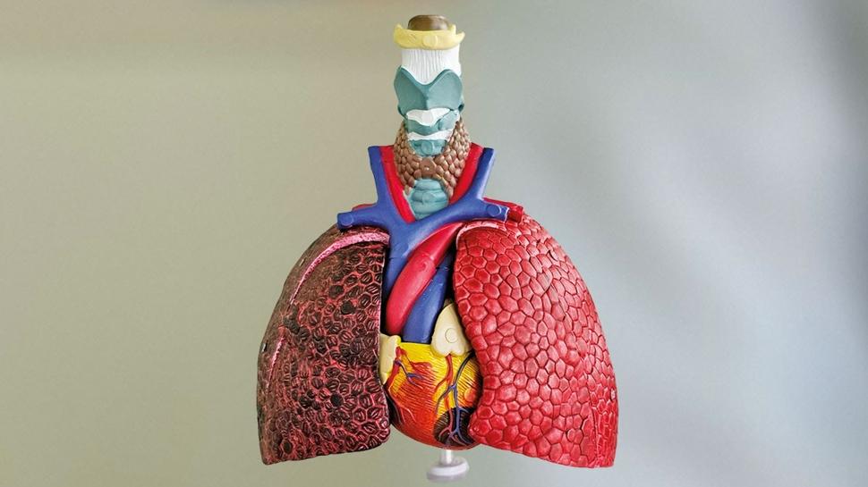 Sigara �l�mleri pandemiyi geride b�rakt�