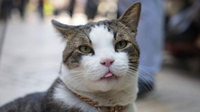 A��r yaral� halde hayata tutunmu�tu: Esnaf�n g�z bebe�i oldu