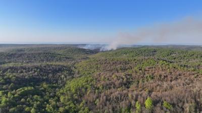 �atalca ve Beykoz'daki ormanl�k alanda ��kan yang�nlar kontrol alt�na al�nd�