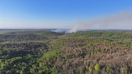 �atalca ve Beykoz'daki ormanl�k alanda ��kan yang�nlar kontrol alt�na al�nd�