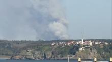 Beykoz'da orman yang�n�