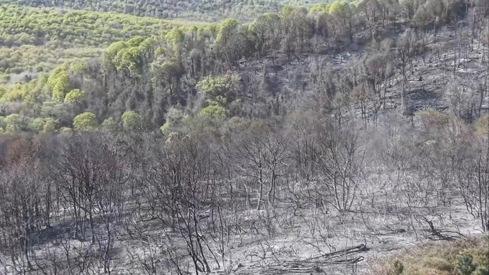 Beykoz'daki yangının bilançosu gün ağarınca ortaya çıktı