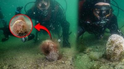 �stanbul sahilinde 