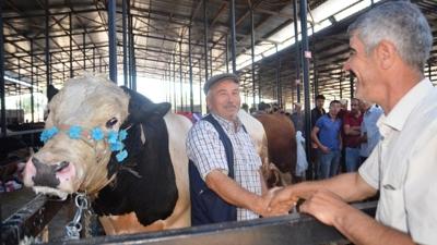 Kurbanl�kta pazarl�k masas� kuruldu! Bayram �ncesi ilk yo�unluk