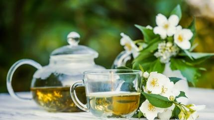 Ye�il �ay kadar faydal�... Kafeini d���k lezzeti y�ksek beyaz �ay faydalar�