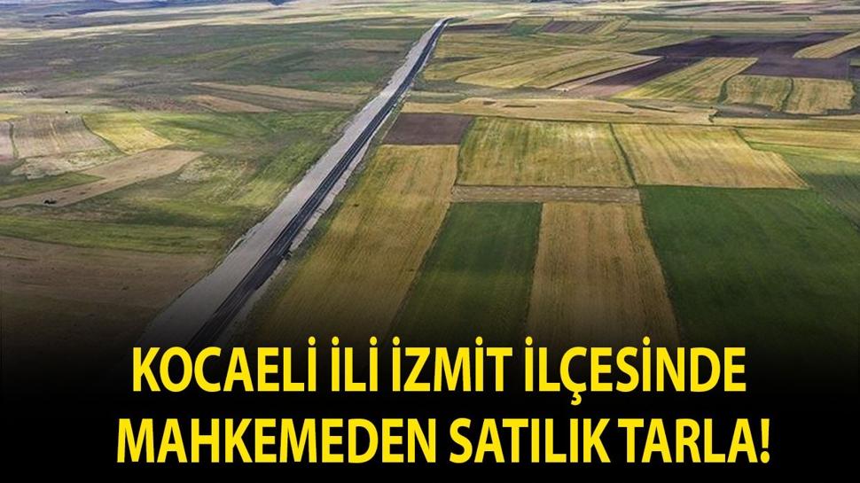 Kocaeli ili İzmit ilçesinde mahkemeden satılık tarla!