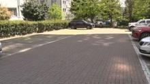 Megakentte ba��bo� k�pek kabusu! Anbean kameralara yans�d�