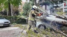 Beylikd�z�'nde a�a� otomobilin �zerine devrildi