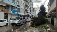 �anl�urfa'da elektrik dire�i otomobilin �zerine devrildi: 2 ki�i yaral�