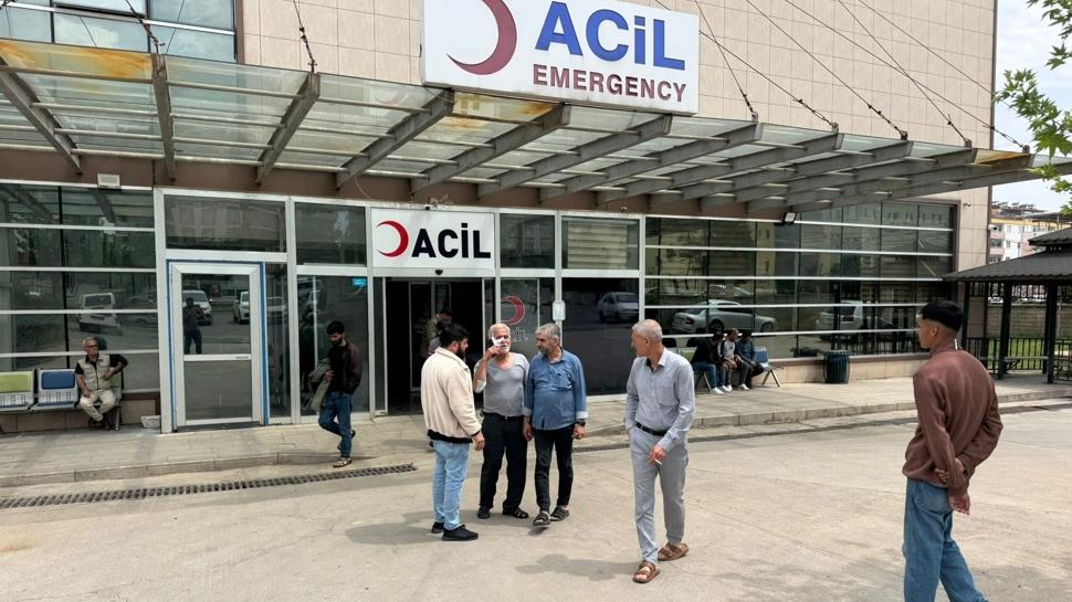 Tur otobüsü imdadına yetişti! Sokak köpekleri yüzünden canından oluyordu