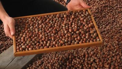 T�rkiye'nin f�nd�k ihracat� 378 milyon dolar� a�t�