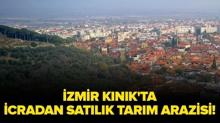 �zmir K�n�k'ta icradan sat�l�k tar�m arazisi!