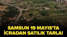 Samsun 19 May�s'ta icradan sat�l�k tarla!