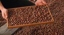 T�rkiye'nin f�nd�k ihracat� 378 milyon dolar� a�t�