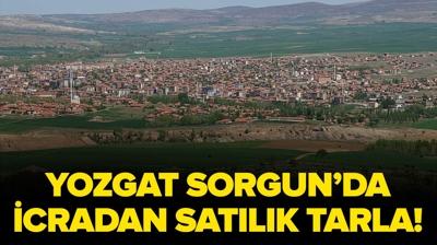 Yozgat Sorgun'da icradan sat�l�k tarla!