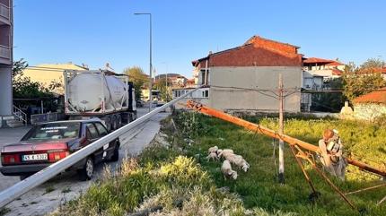Manisa'da faciadan d�n�ld�... Kablolara tak�lan t�r direkleri devirdi