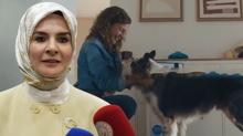 Bosch'tan tepki �eken reklam... Bakan G�kta�: Propagandalara f�rsat vermeyiz