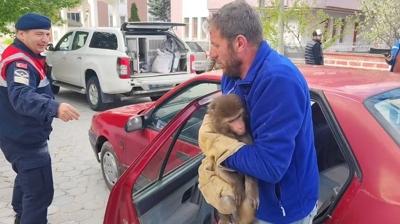 T�rkiye'de beslenmesi ve sahiplenmesi yasak! Yozgat'ta bulundu