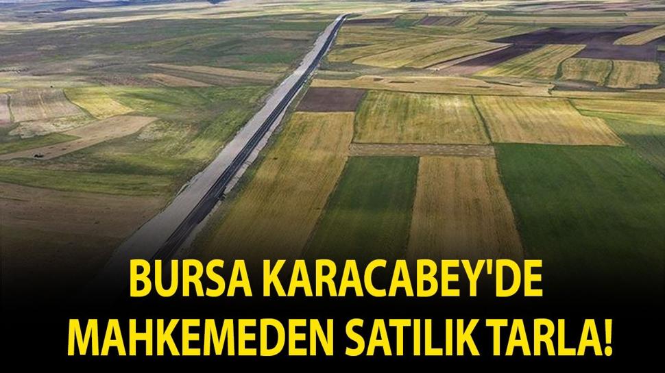 Bursa Karacabey'de mahkemeden satılık tarla!