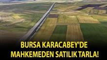 Bursa Karacabey'de mahkemeden sat�l�k tarla!