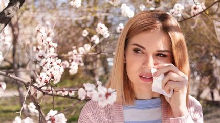 Alerjik ast�ma kar�� 10 �neri... Etkilerini azalt�n