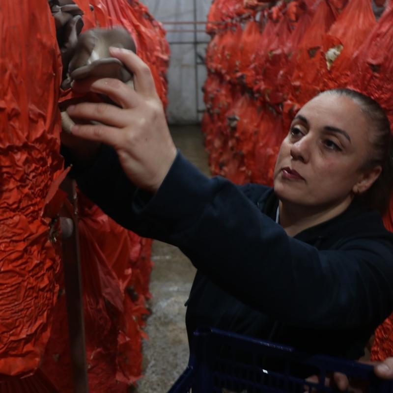 11 haftada kendi i�inin patronu oldu! Tekstili b�rakt�, �imdi sipari�lere yeti�emiyor