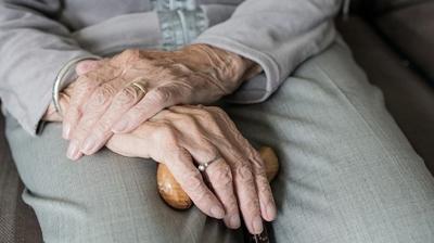 Ya�l� Destek Program�'na ba�vurular ba�lad�