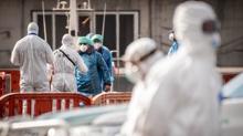 Hantavir�s operasyonu! Yolcular u�aklarla �lkelerine g�nderildi