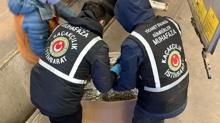 S�n�rlarda zehir tacirlerine a��r darbe