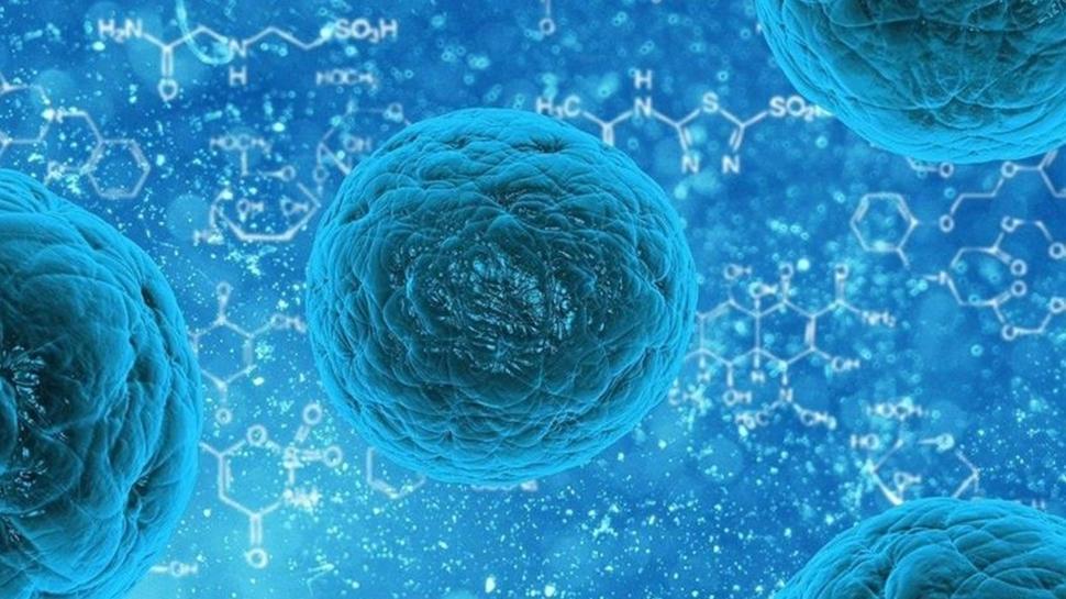 Norovir�s nedir, nas�l bula��r? Norovir�s belirtileri neler, bula��c� m�?