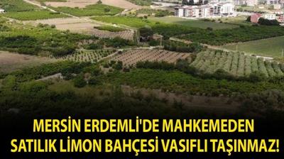 Mersin Erdemli'de mahkemeden sat�l�k limon bah�esi vas�fl� ta��nmaz!