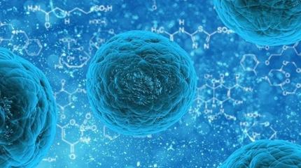 Norovir�s nedir, nas�l bula��r? Norovir�s belirtileri neler, bula��c� m�?