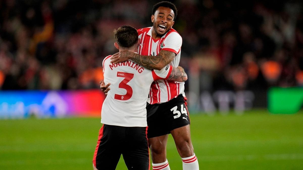 hull city southampton championship foto�raflar� resimleri