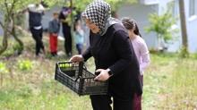 60 bin fideden 600 kilo �r�n ��kt�: Foto�rafla ba�lad�, �retici oldu! Taleplere yeti�emiyor