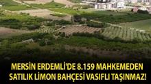 Mersin Erdemli'de 8.159 mahkemeden sat�l�k limon bah�esi vas�fl� ta��nmaz!