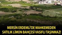 Mersin Erdemli'de mahkemeden sat�l�k limon bah�esi vas�fl� ta��nmaz!