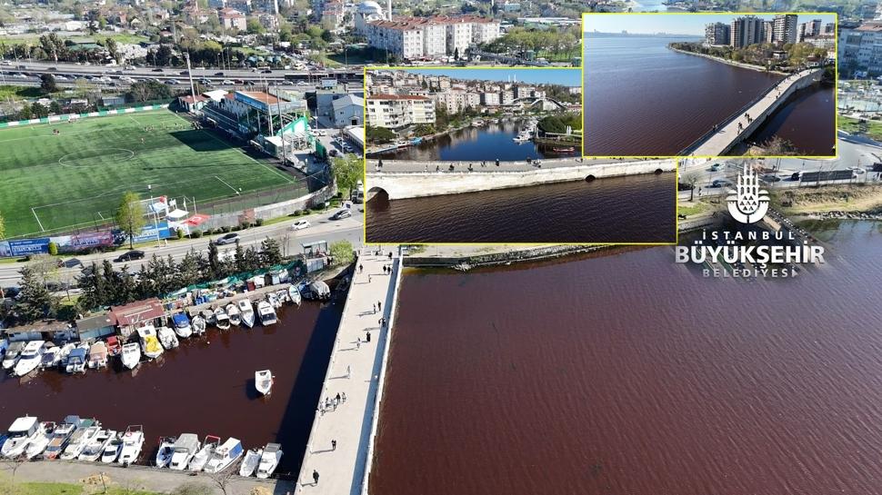 Küçükçekmece Gölü alarm veriyor... İBB yönetimine ihmal tepkisi
