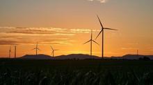 T�rkiye'ye �nemli f�rsat! COP31 denizlerde yeni g�� alan� a��yor